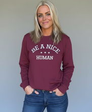 BE A NICE HUMAN - UNISEX LONG SLEEVE TEE - CARDINAL